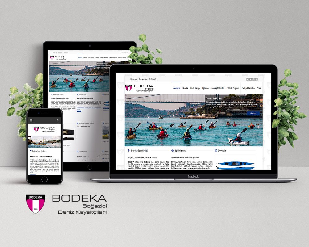 Web Tasarım & Geliştirme